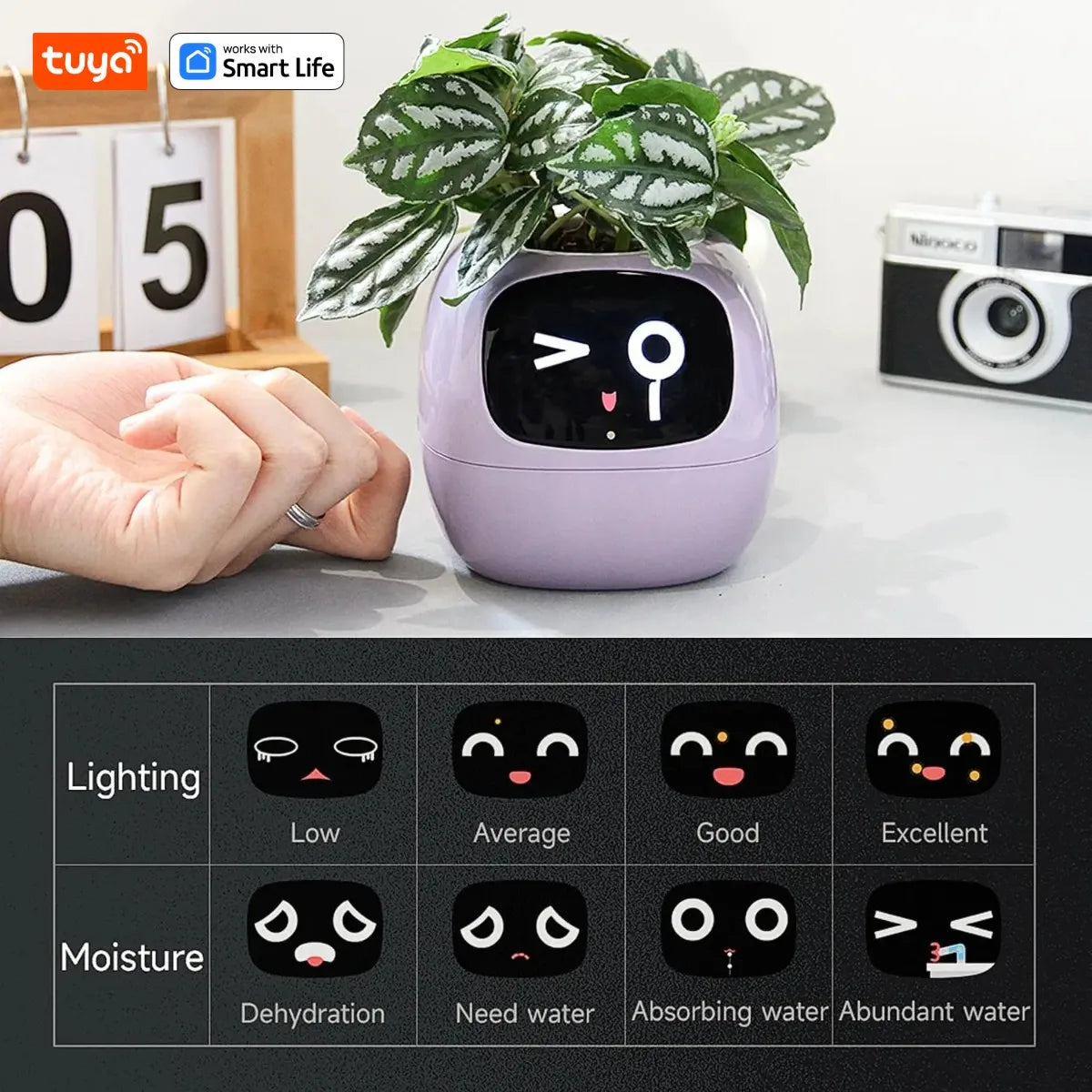 Tuya Ivy Smart Planter – 49+ Expressions, 7 Sensors & AI Chip for Interactive Plant Care