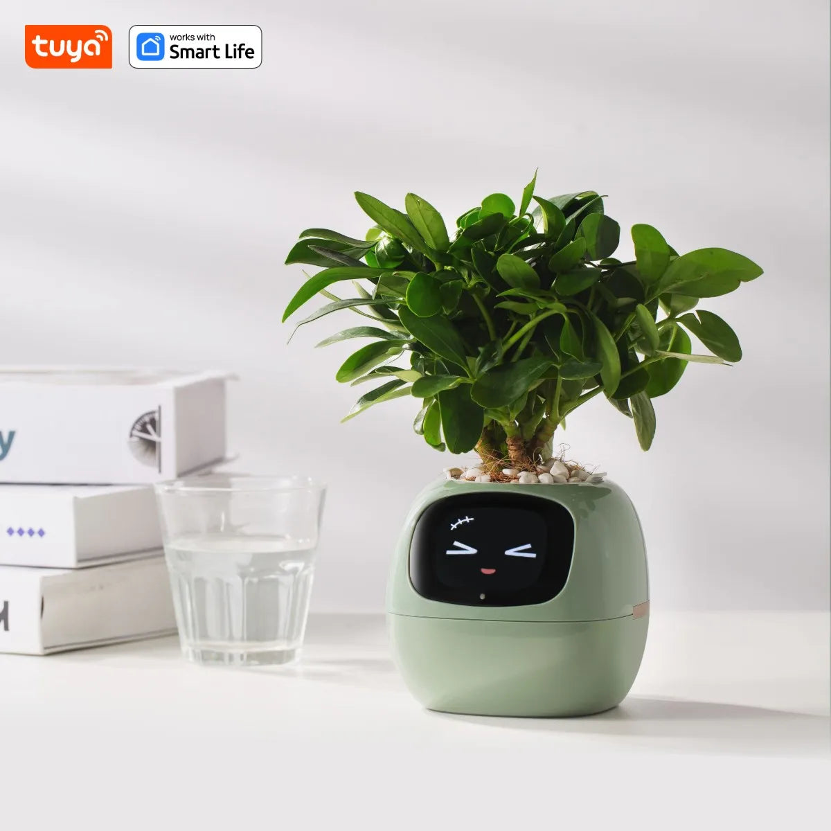 Tuya Ivy Smart Planter – 49+ Expressions, 7 Sensors & AI Chip for Interactive Plant Care