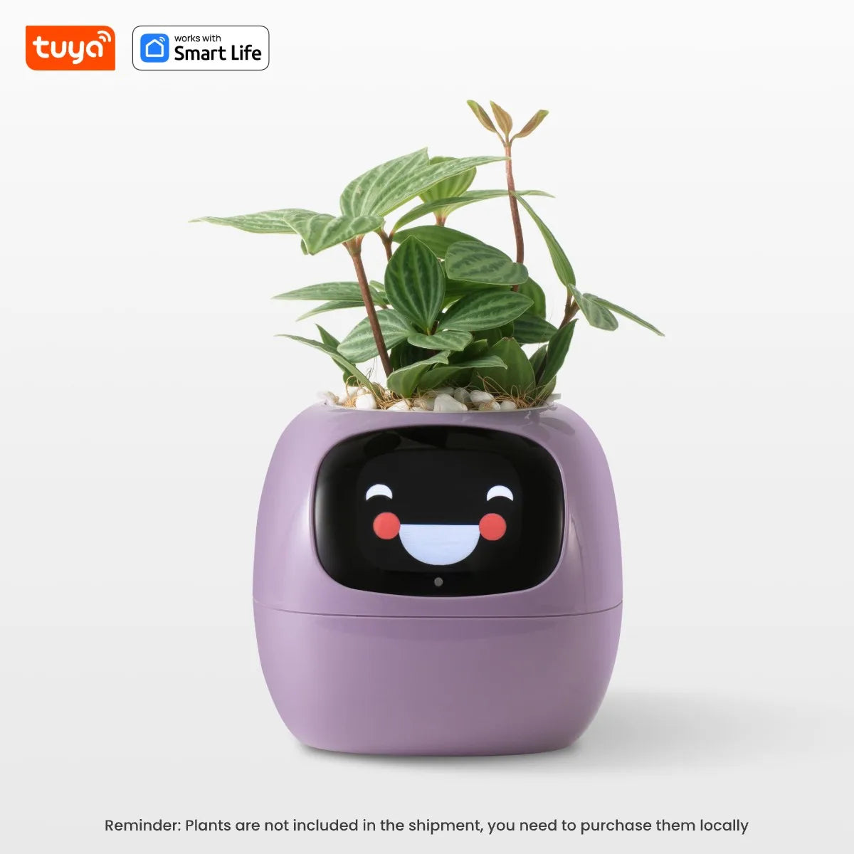Tuya Ivy Smart Planter – 49+ Expressions, 7 Sensors & AI Chip for Interactive Plant Care