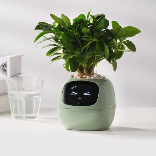 Ivy Interactive Smart Planter